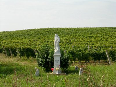 Common Roadside Shrine (Mary or Cross).